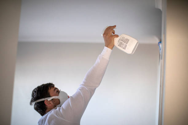Best Fast Mold Removal  in Inman, KS