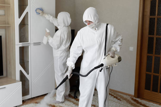 Crawl Space Mold Removal in Inman, KS