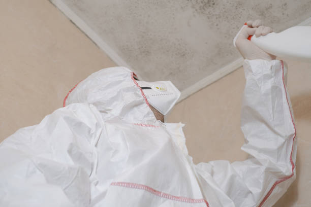 Best Toxic Mold Removal  in Inman, KS