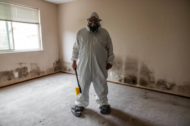 Home Mold Removal in Inman, KS