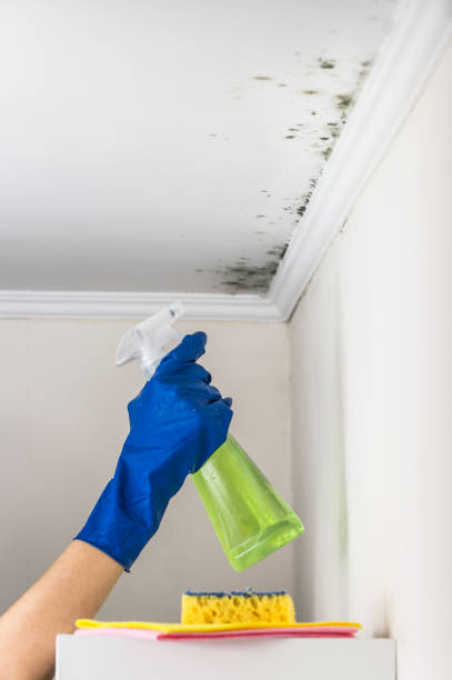 Best Emergency Mold Removal  in Inman, KS